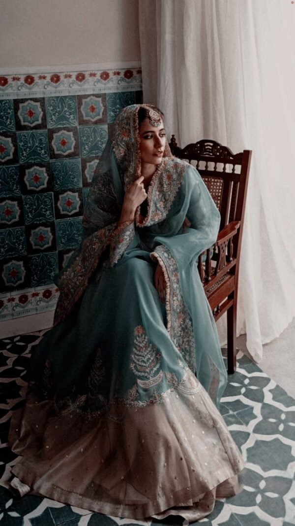 d 202 grey ramsha chiffon dress