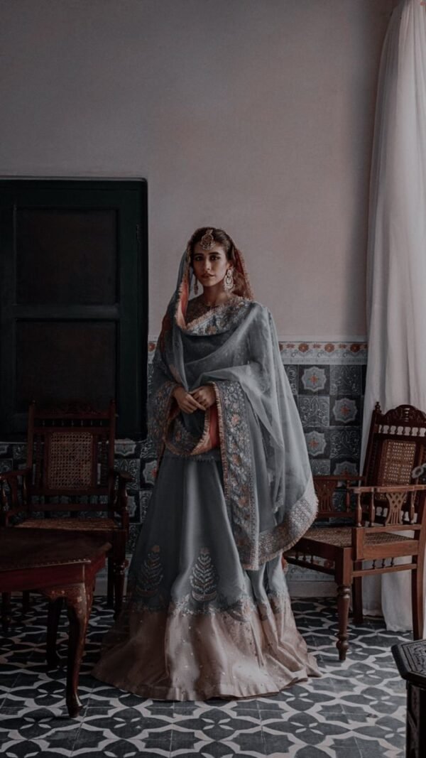 d 202 grey ramsha chiffon dress